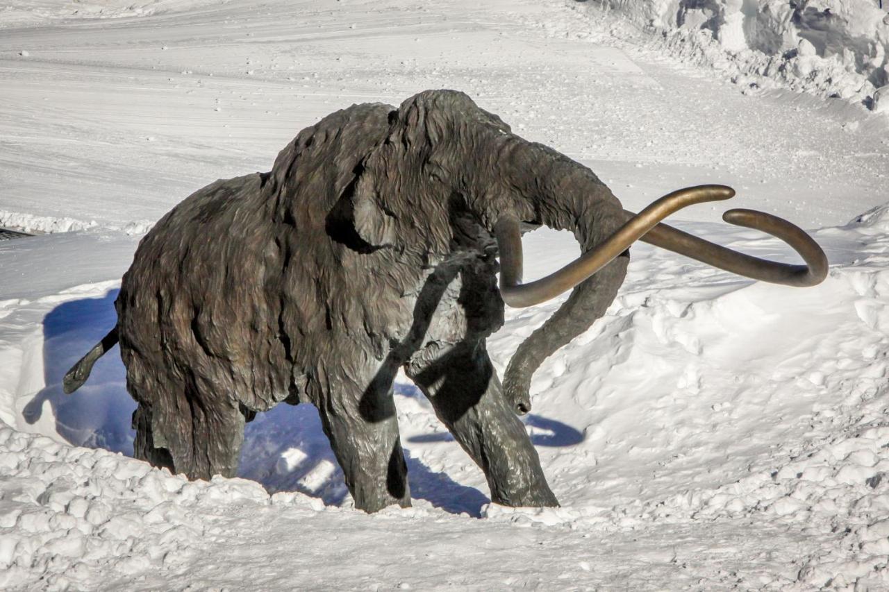 Sierra Megeve Apartment Mammoth Lakes Bagian luar foto